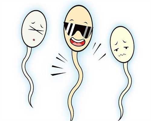 国家生育支持新政:为失独家庭提供多重福利