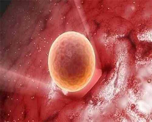 失独家庭的生育希望:试管助孕之旅