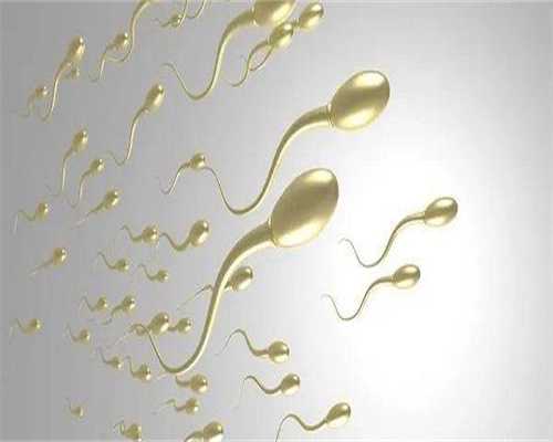 成功助孕的中介机构_代生费用与价格指南