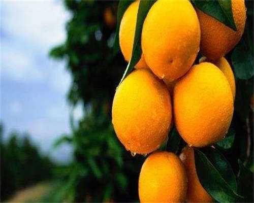 上海供卵卵子库,找个女人生孩子可以吗