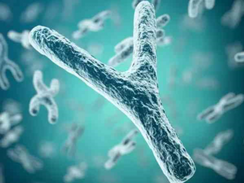 专业代孕机构的选择指南:深度解析ECO-IF医院诺维科娃医生