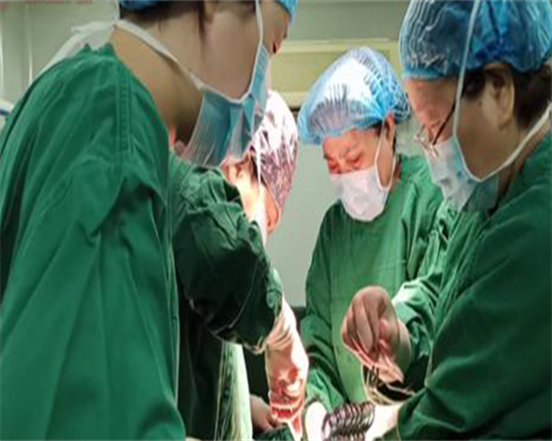 48岁高龄女性捐卵试管代生的成功案例及影响因素深度解析