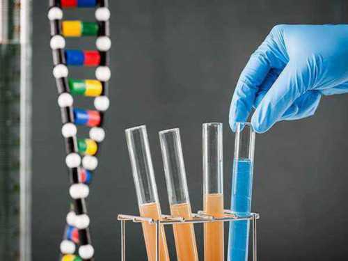 解析试管胚胎染色体异常的原因，为辅助生殖保驾护航