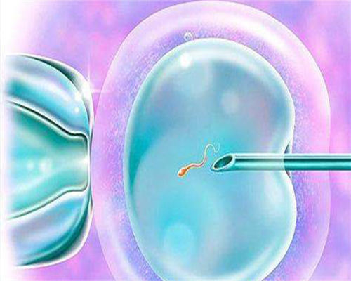 移植后吃什么有利于着床