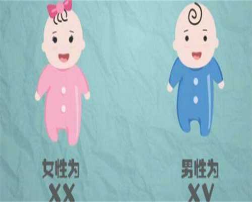 国内供卵机构可靠吗_正规代孕网站,
              做试管婴儿移植的胚胎会在子宫