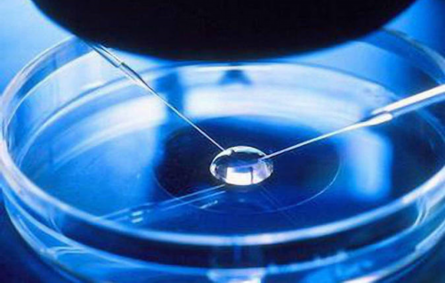 第三代试管婴儿怎么回事?做第三代试管费用多少?