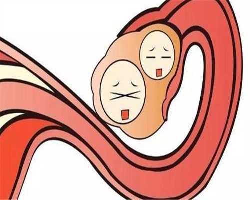 剖析高龄失独家庭的生育选择:为何试管婴儿成希望?