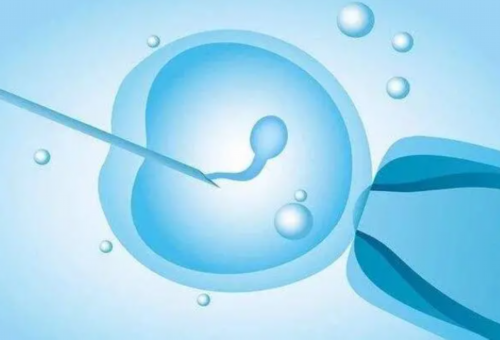 广西桂林那个医院试管成功率高2026[试管医院]