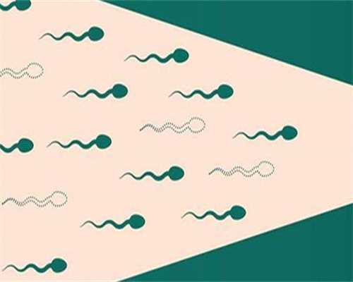 梧州供卵机构探寻，实现龙凤胎之梦