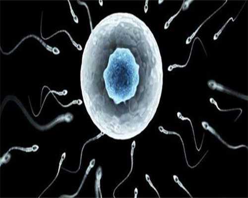 广西代生公司,梧州做试管婴儿费用(广西试管婴儿多少钱)