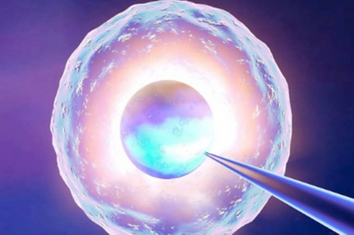 新生儿获取途径：费用及相关咨询