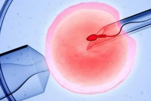 高龄生育的产假政策解析