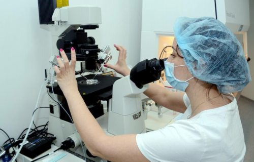 双子座的秘密:捐卵试管助您实现代生愿望