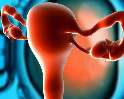 试管助孕：胚胎染色体异常的应对与生育几率