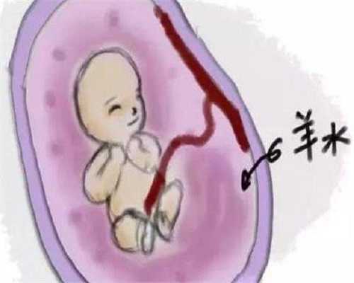 探究广西地区助孕那些事:不孕不育治疗的注意事项与误区