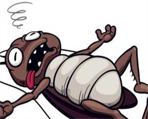 三代借精试管供卵试管孕男性染色体问题