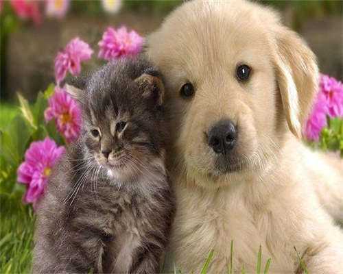 国内代生指南：汕头三代试管婴儿的费用明细与注意事项