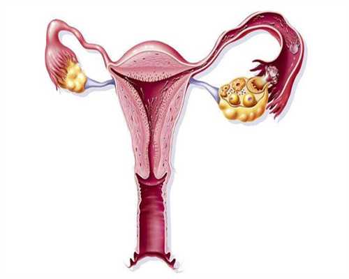 科学助孕姿势揭秘：提升受孕几率的同房技巧