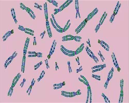 42岁高龄内蒙供卵试管代生成功率评估与影响因素解析