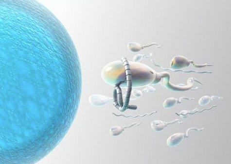 广西供卵卵子库,【广西供卵助孕】1号排卵，备孕1月成功升级，经验分享